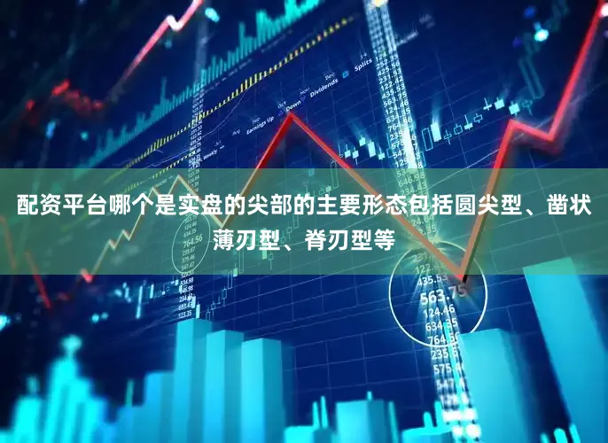配资平台哪个是实盘的尖部的主要形态包括圆尖型、凿状薄刃型、脊刃型等