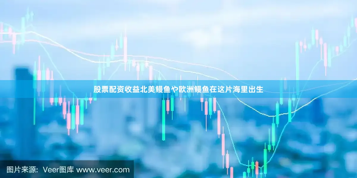 股票配资收益北美鳗鱼や欧洲鳗鱼在这片海里出生