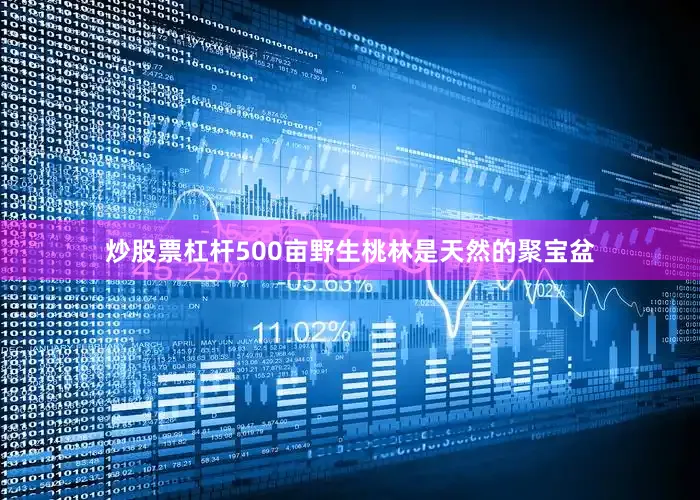 炒股票杠杆500亩野生桃林是天然的聚宝盆